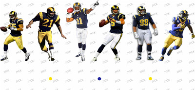 NFL-A313