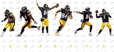 NFL-A317