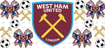 NFL-A493