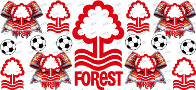 NFL-A497