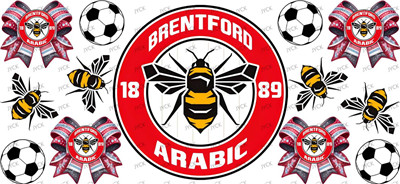 NFL-A498
