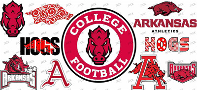 NFL-A639