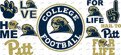 NFL-A667