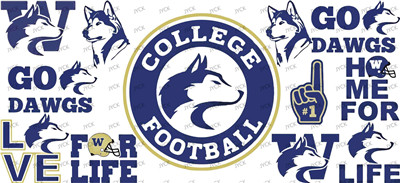 NFL-A673