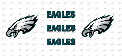 NFL-A734