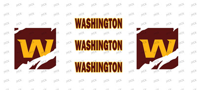 NFL-A739