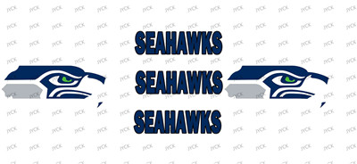 NFL-A751