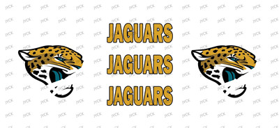 NFL-A755