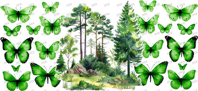 Scenery-Y49026