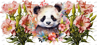 animal bear-Y49475
