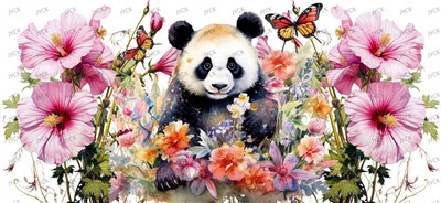 animal bear-Y49476