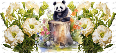 animal bear-Y49478