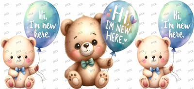 animal bear-Y50773