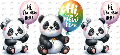 animal bear-Y50774