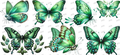 Butterfiy-Y26984