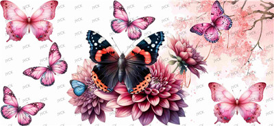 Butterfiy-Y26986