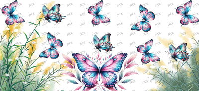 Butterfiy-Y26987