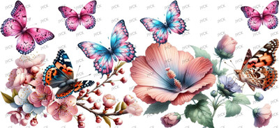 Butterfiy-Y26988