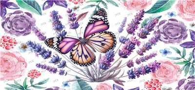 Butterfiy-Y26992