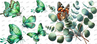 Butterfiy-Y26993
