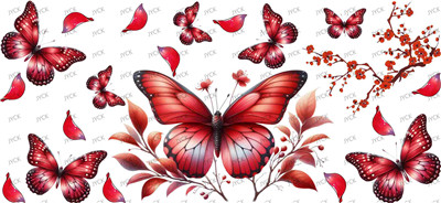 Butterfiy-Y27027