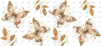 Butterfiy-Y27033