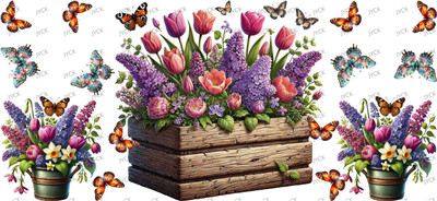 Butterfiy-Y28436