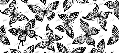 Butterfiy-Y29671