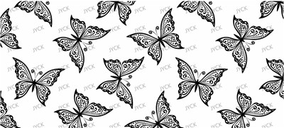 Butterfiy-Y29675