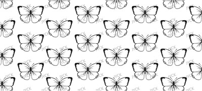 Butterfiy-Y29677