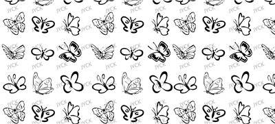 Butterfiy-Y29680