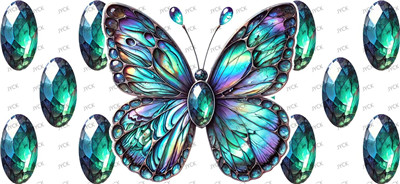 Butterfiy-Y32686