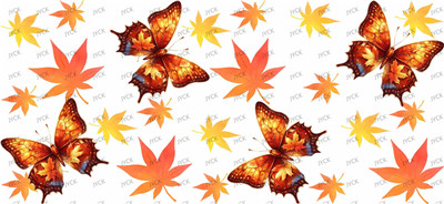 Butterfiy-Y33806