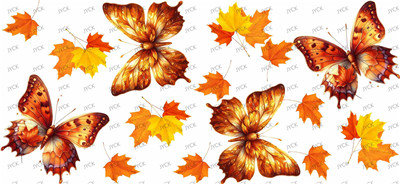 Butterfiy-Y33807
