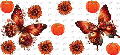 Butterfiy-Y33808