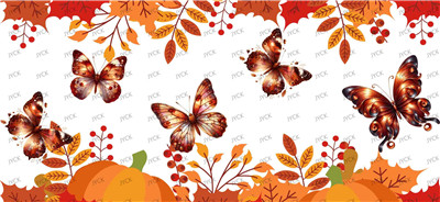 Butterfiy-Y33810