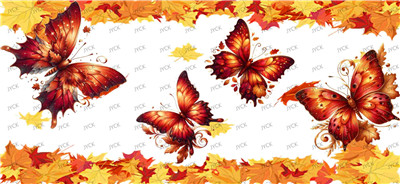 Butterfiy-Y33812