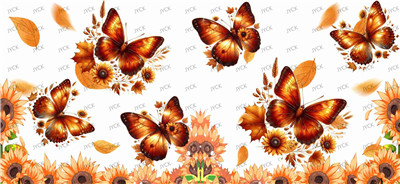 Butterfiy-Y33813