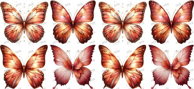 Butterfiy-Y33814