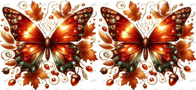 Butterfiy-Y33819