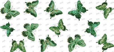 Butterfiy-Y44322