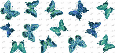 Butterfiy-Y44323