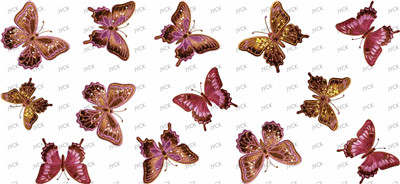 Butterfiy-Y44324