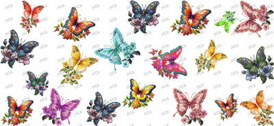 Butterfiy-Y44380