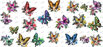 Butterfiy-Y44381