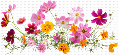 Flower-Y10319