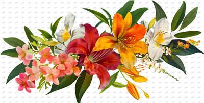 Flower-Y10321