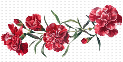 Flower-Y10346