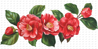 Flower-Y10348