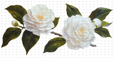 Flower-Y10349
